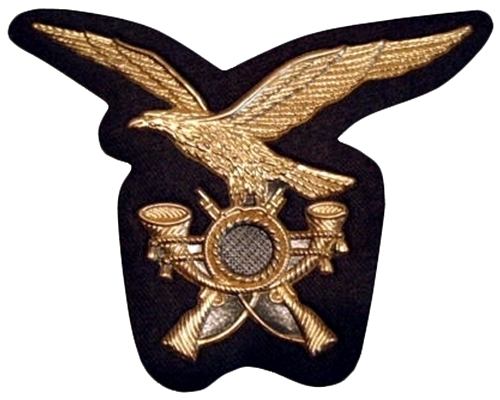 File:Fregio alpini (per personale in servizio permanente).png