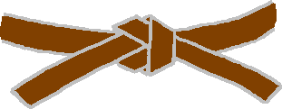 File:Judo brown belt.PNG