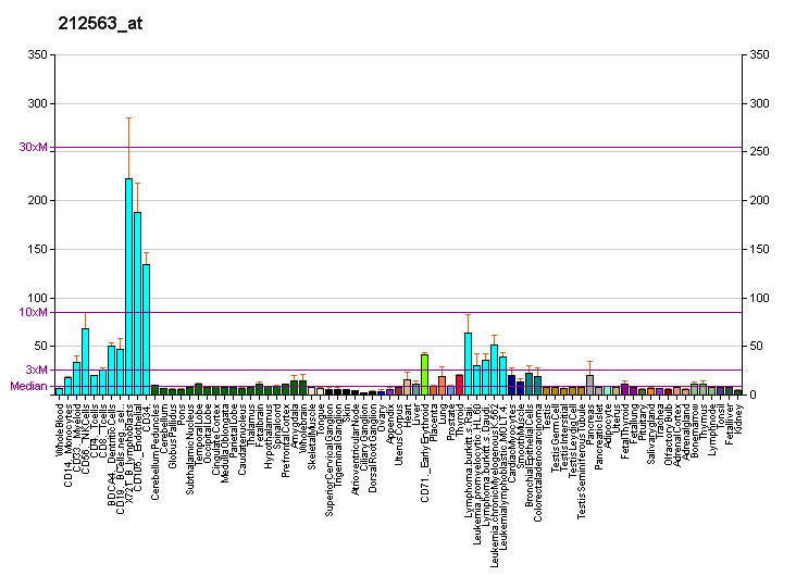 File:PBB GE BOP1 212563 at fs.png