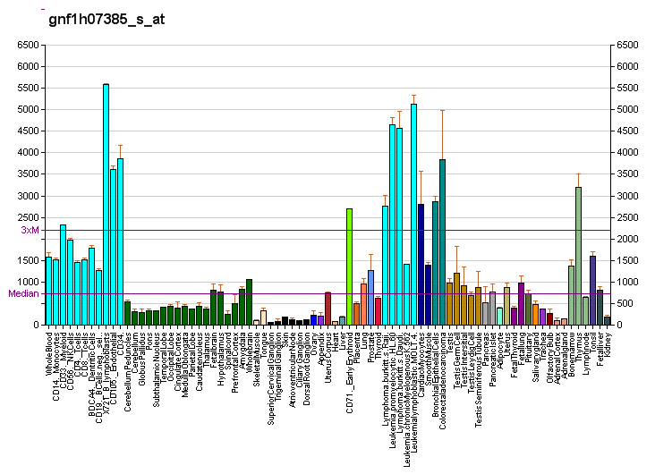 File:PBB GE H2AFZ gnf1h07385 s at fs.png