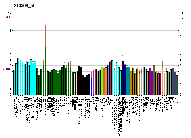 File:PBB GE RECQL5 210309 at fs.png