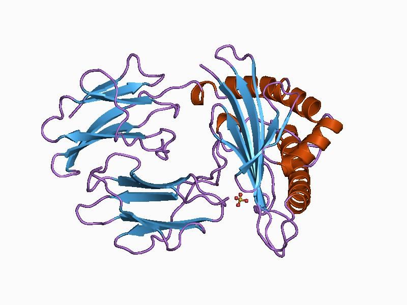 File:PDB 1ce6 EBI.jpg