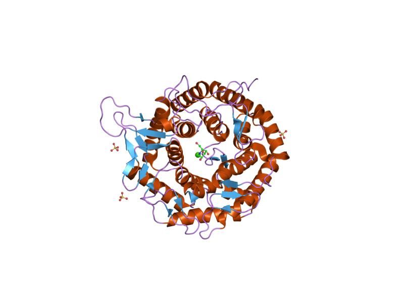 File:PDB 1fo2 EBI.jpg