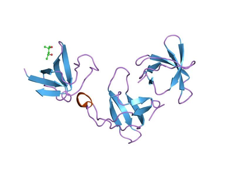 File:PDB 1gcq EBI.jpg