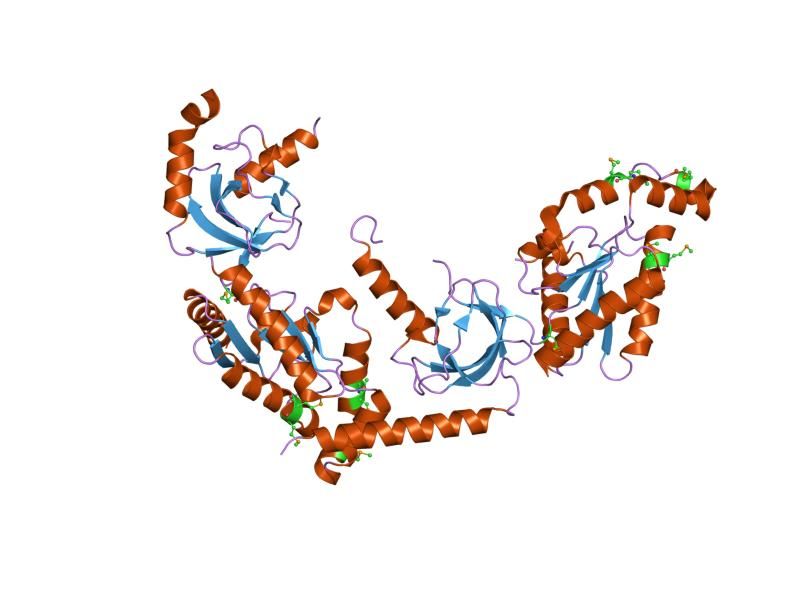 File:PDB 1vyu EBI.jpg