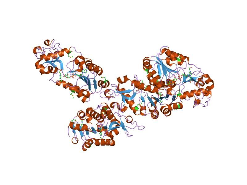 File:PDB 2b4y EBI.jpg