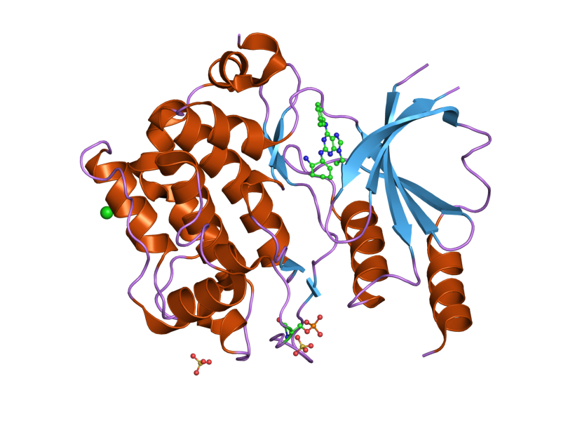 File:PDB 2cdz EBI.png