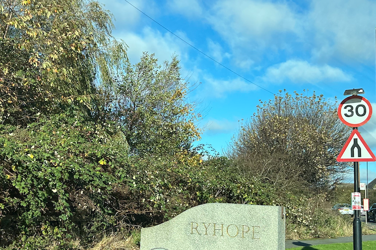 File:Ryhope Pit Poney Statue.png