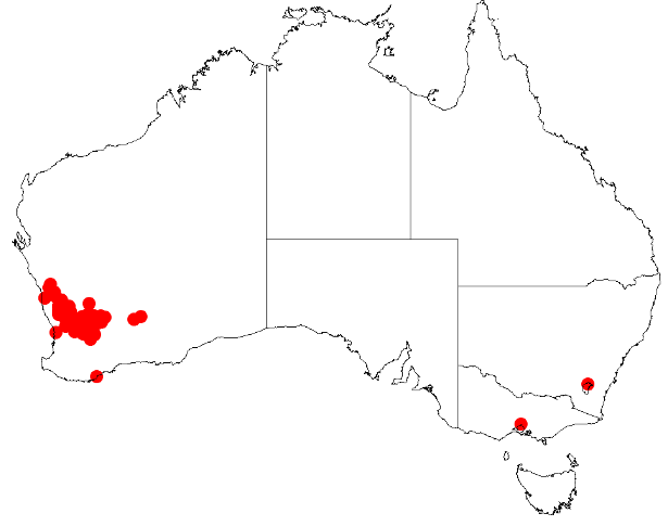 File:Acacia aestivalisDistMap23.png