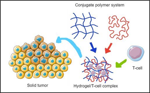 File:CAR-T Gel Delivery.png