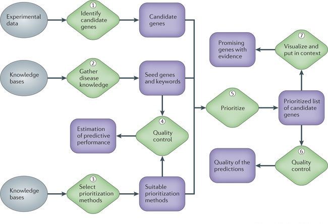 File:Geneprioritizationworkflow.jpg