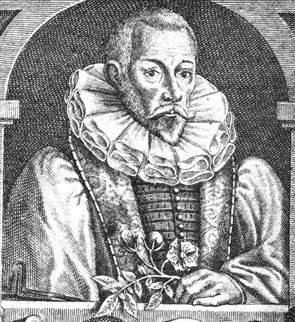 File:Gerard John 1545-1612 crop.jpg