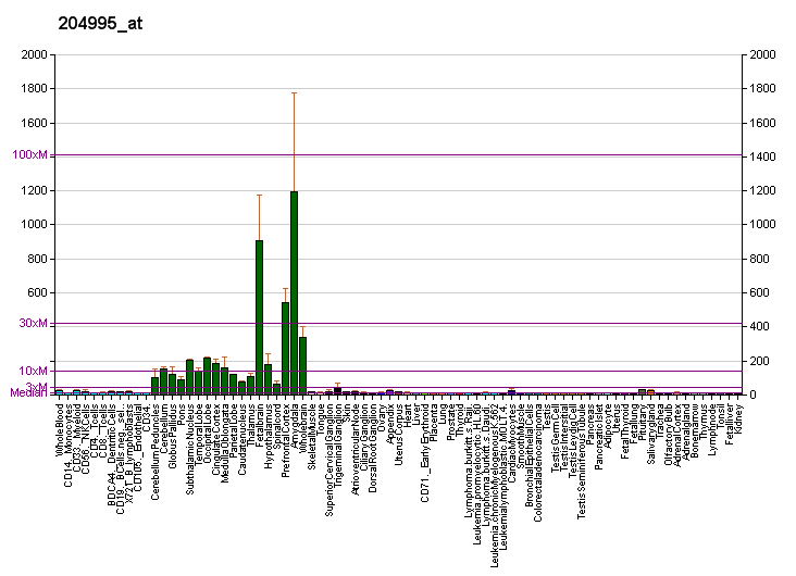 File:PBB GE CDK5R1 204995 at fs.png