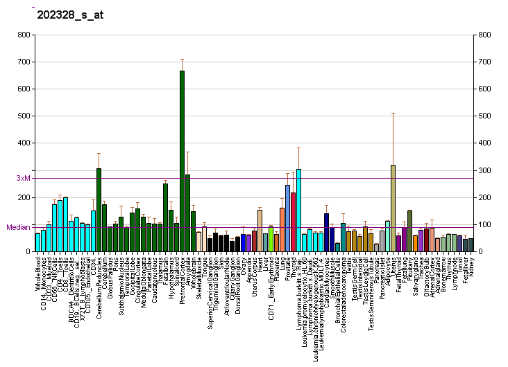 File:PBB GE PKD1 202328 s at fs.png