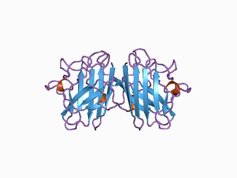 File:PDB 1azv EBI.jpg