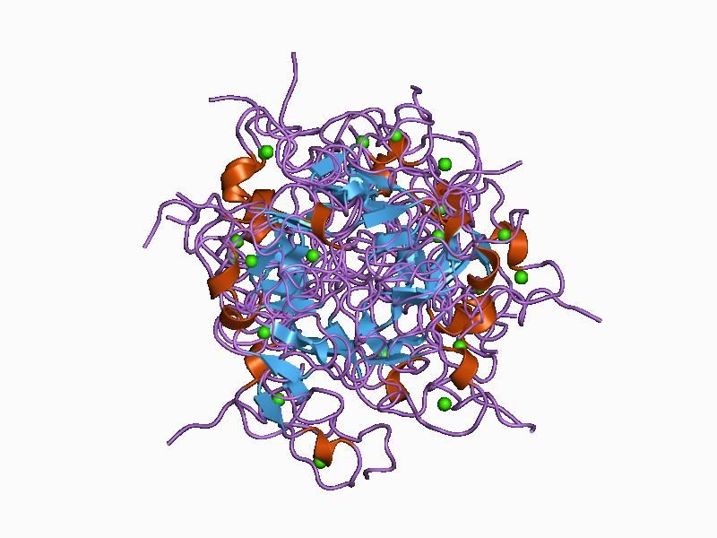 File:PDB 1cr8 EBI.jpg