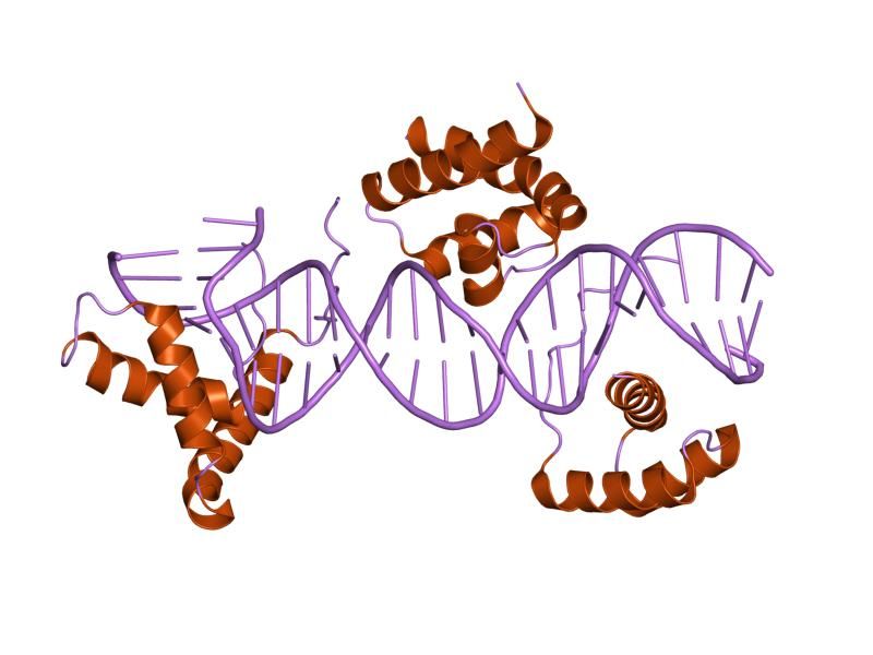 File:PDB 1gt0 EBI.jpg