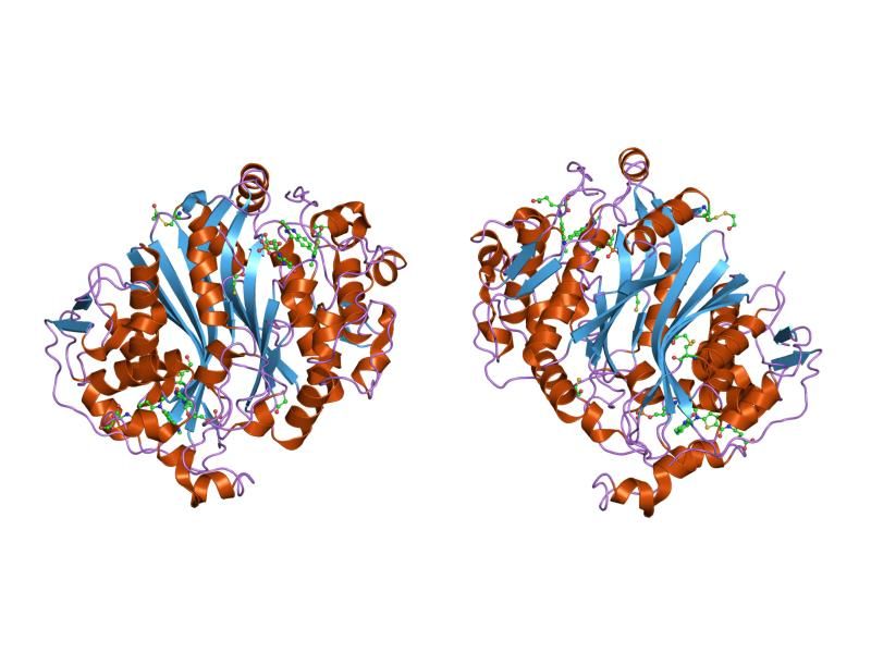 File:PDB 1hvy EBI.jpg