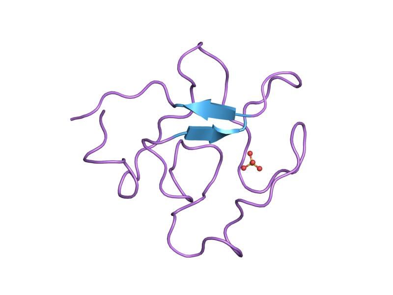 File:PDB 1krn EBI.jpg