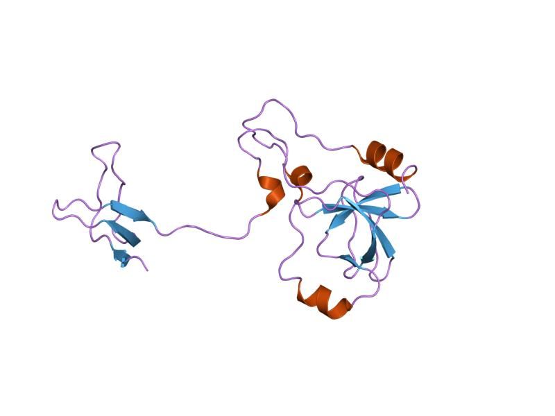 File:PDB 1ng2 EBI.jpg