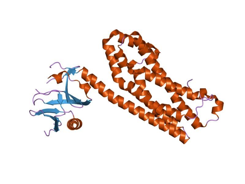 File:PDB 1txd EBI.jpg