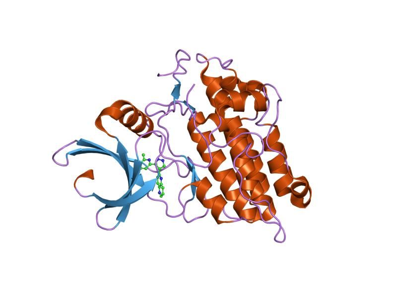 File:PDB 1vjy EBI.jpg