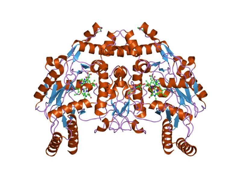 File:PDB 2hx2 EBI.jpg