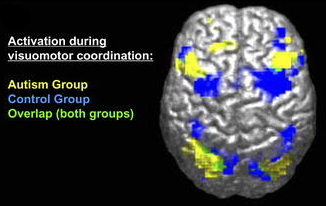 File:Powell2004Fig1A.png