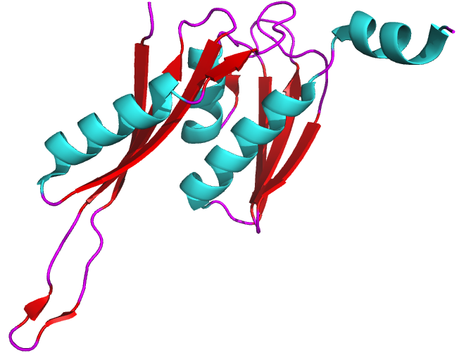 File:Ribonucleoprotein motif.png