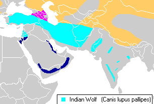 File:Indian wolf (Canis lupus pallipes) distribution.png