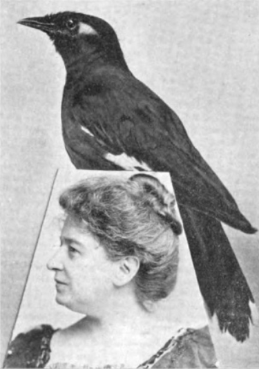 File:Myna and Thursby.png