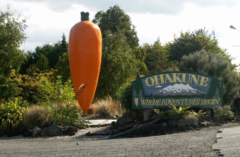 File:Ohakunecarrot1b.jpg