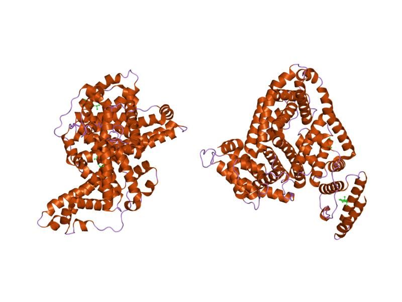 File:PDB 1e7a EBI.jpg