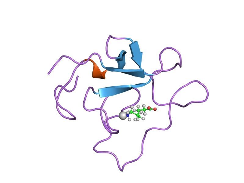 File:PDB 1hpk EBI.jpg