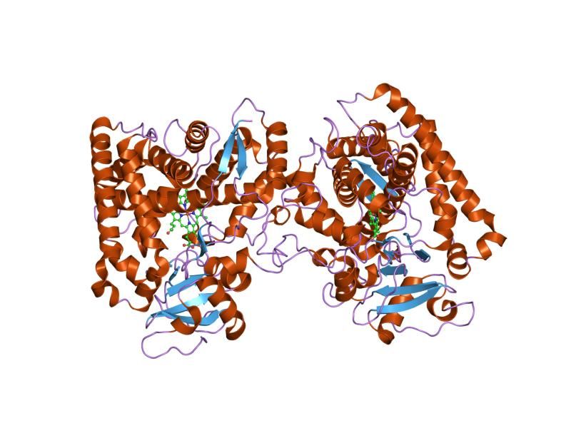 File:PDB 1og2 EBI.jpg