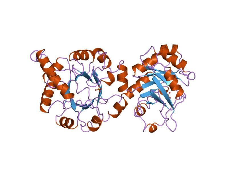 File:PDB 1pii EBI.jpg