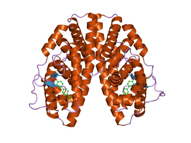 File:PDB 1yy4 EBI.jpg