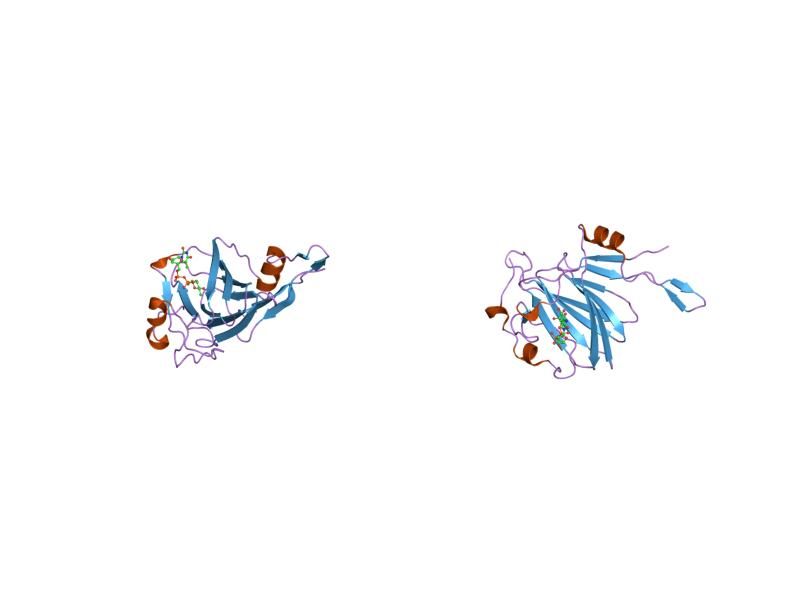 File:PDB 2ixh EBI.jpg