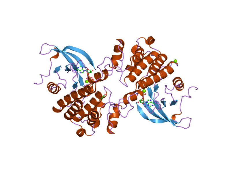 File:PDB 2p0c EBI.png