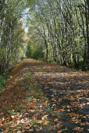 File:Row River National Recreation Trail.jpg