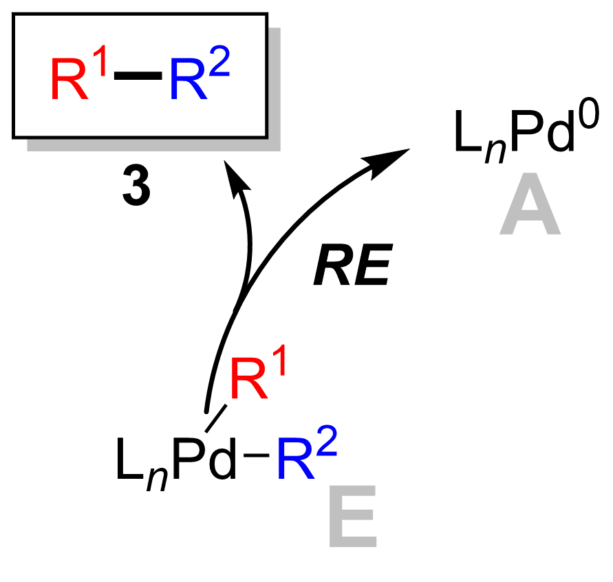 Suzuki Coupling Reductive Elimination