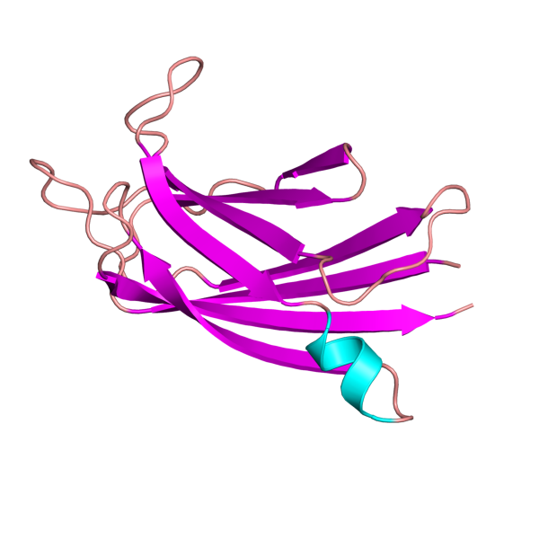 File:4ihb pdb.png