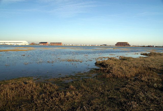 File:Calshot Marshes - geograph.org.uk - 859489.jpg