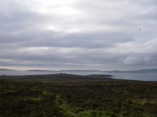 File:Cavaorkney.jpg