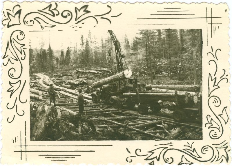 File:Logging at Small Ungut.jpeg