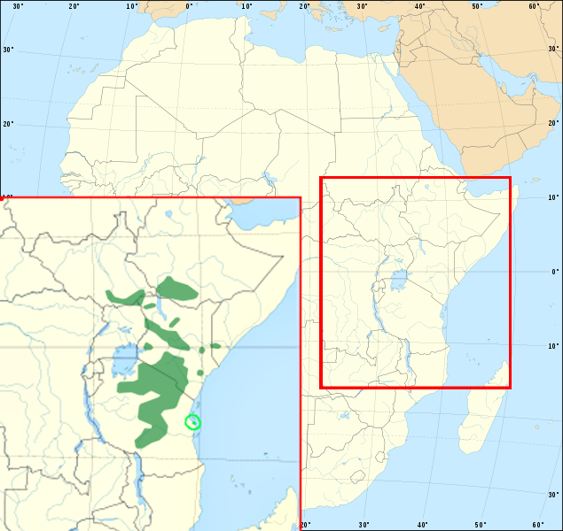 File:Odontospiza griseicapilla distribution map 2018 BirdLife International.png