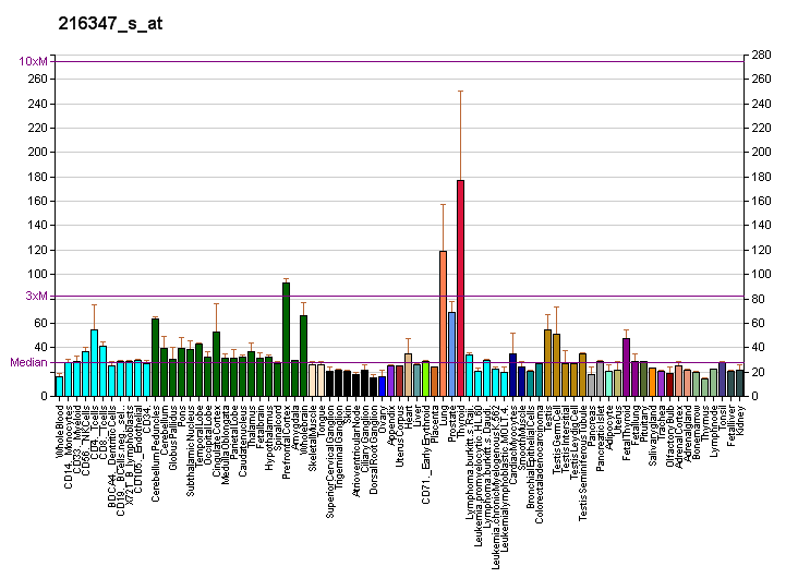 File:PBB GE PPP1R13B 216347 s at fs.png