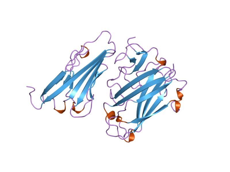 File:PDB 1kac EBI.jpg