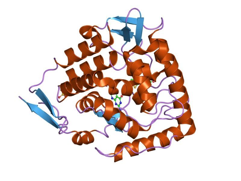 File:PDB 1mmk EBI.jpg