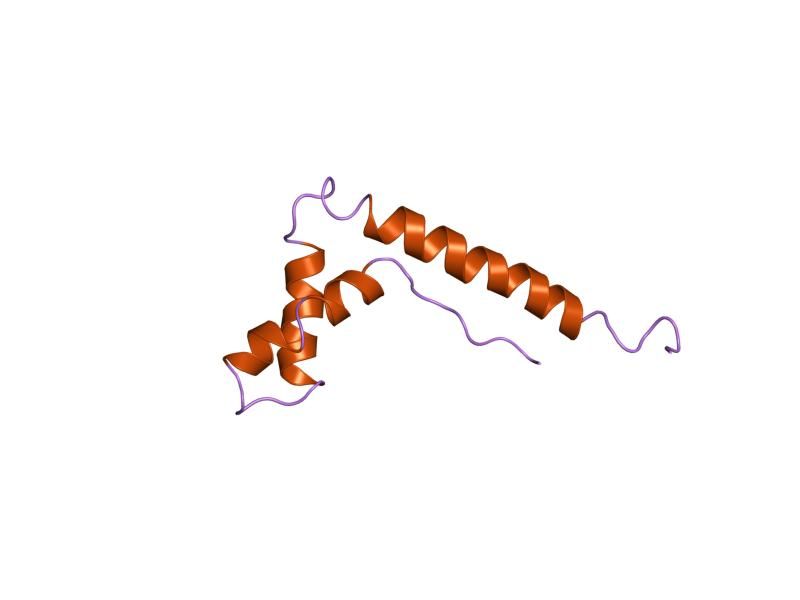 File:PDB 1nhm EBI.jpg